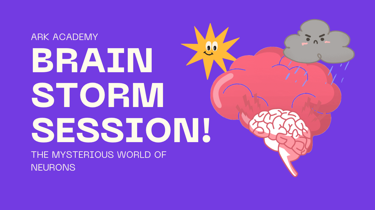 Ark Academy Brain Storm Session slide: The mysterious world of neurons